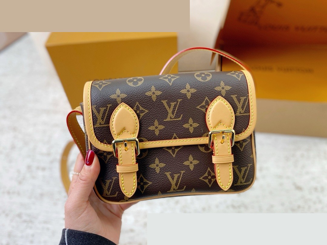 LV Bag 278