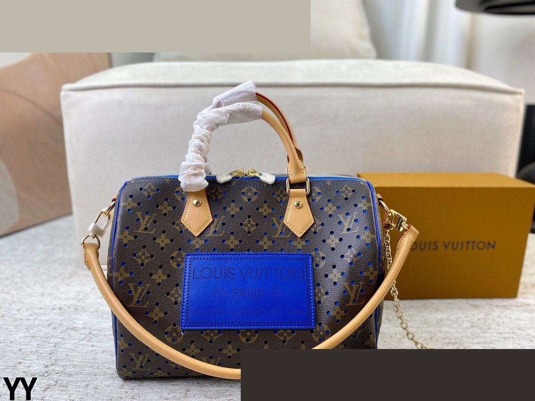 LV Bag 279