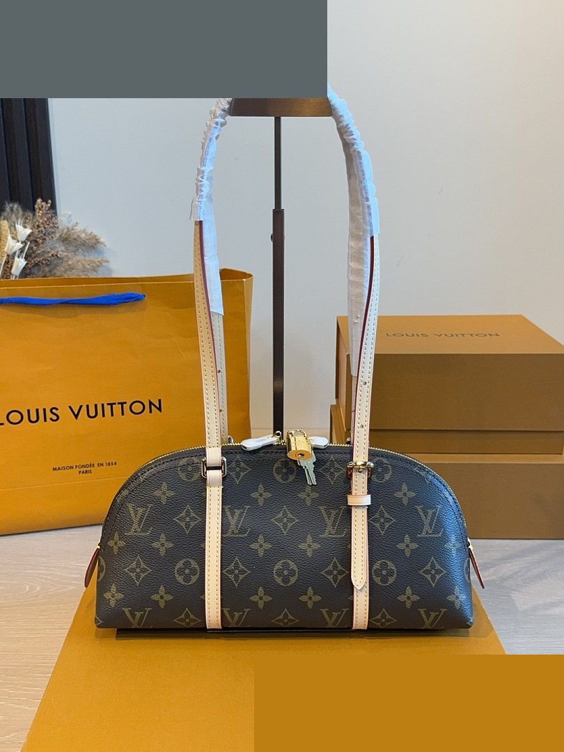 LV Bag 281