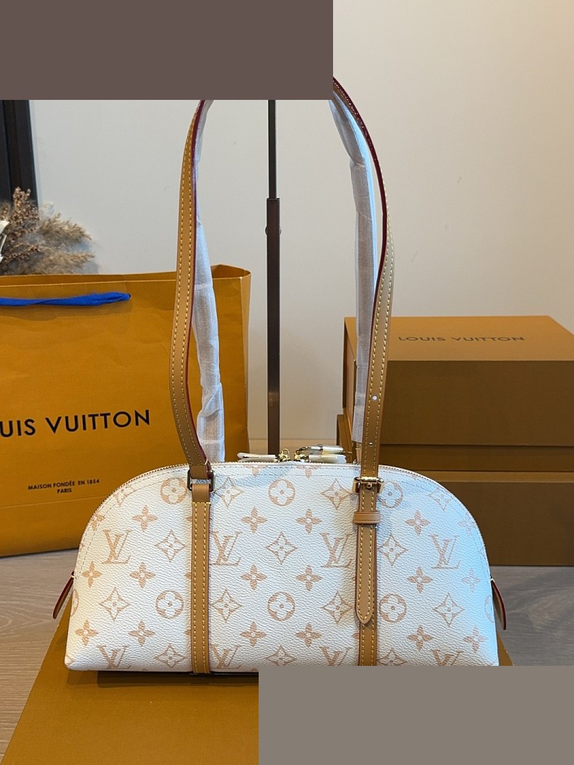 LV Bag 289