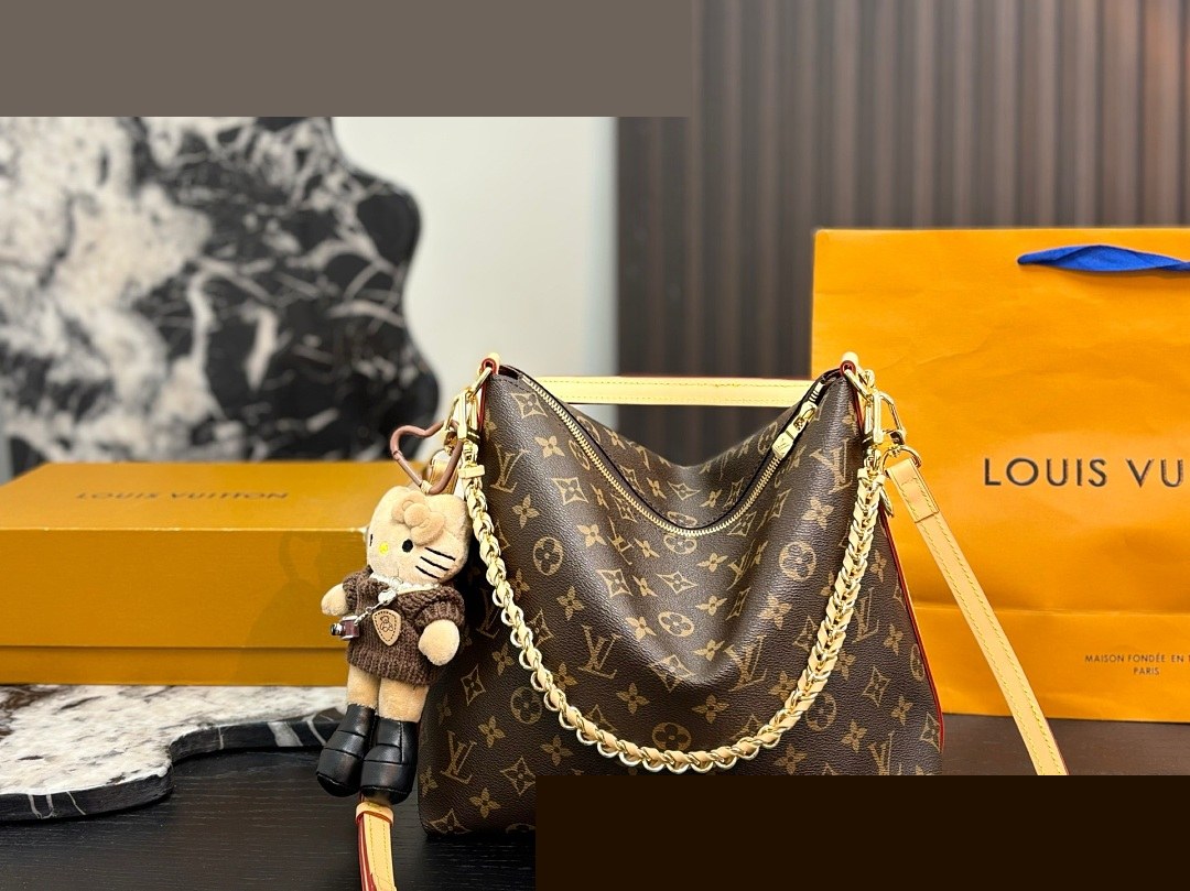 LV Bag 290