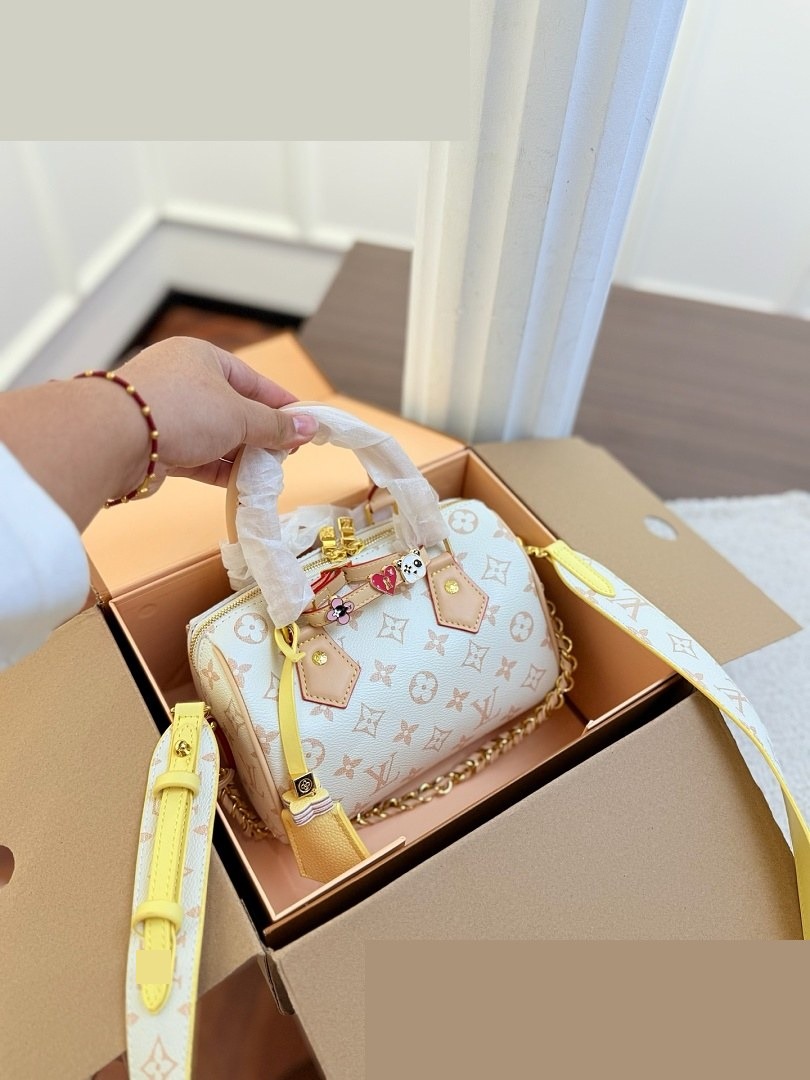 LV Bag 293