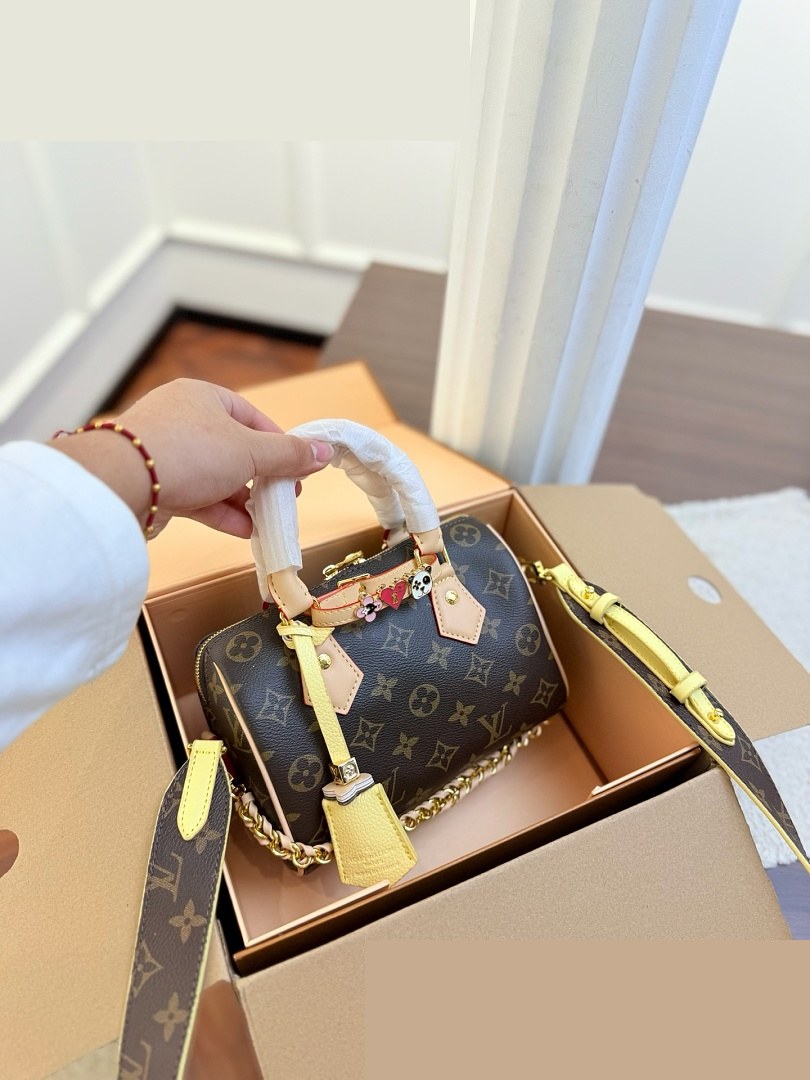 LV Bag 294