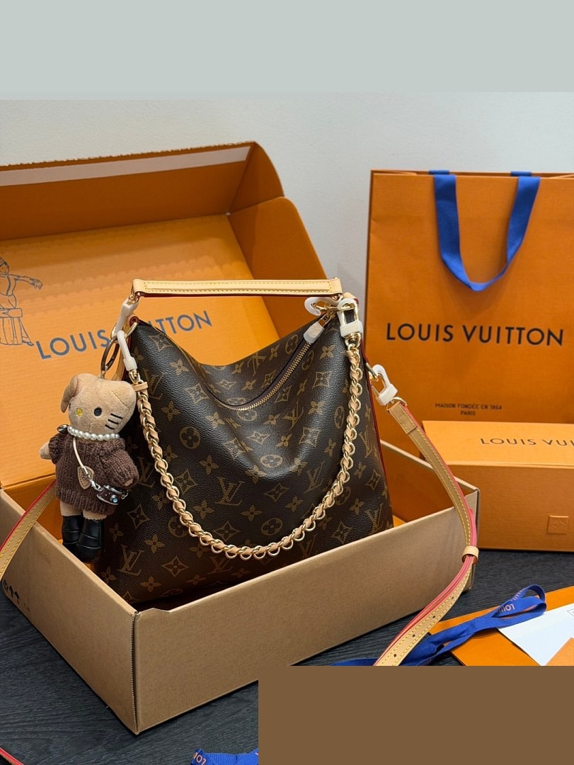 LV Bag 300