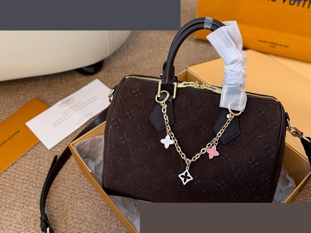 LV Bag 301