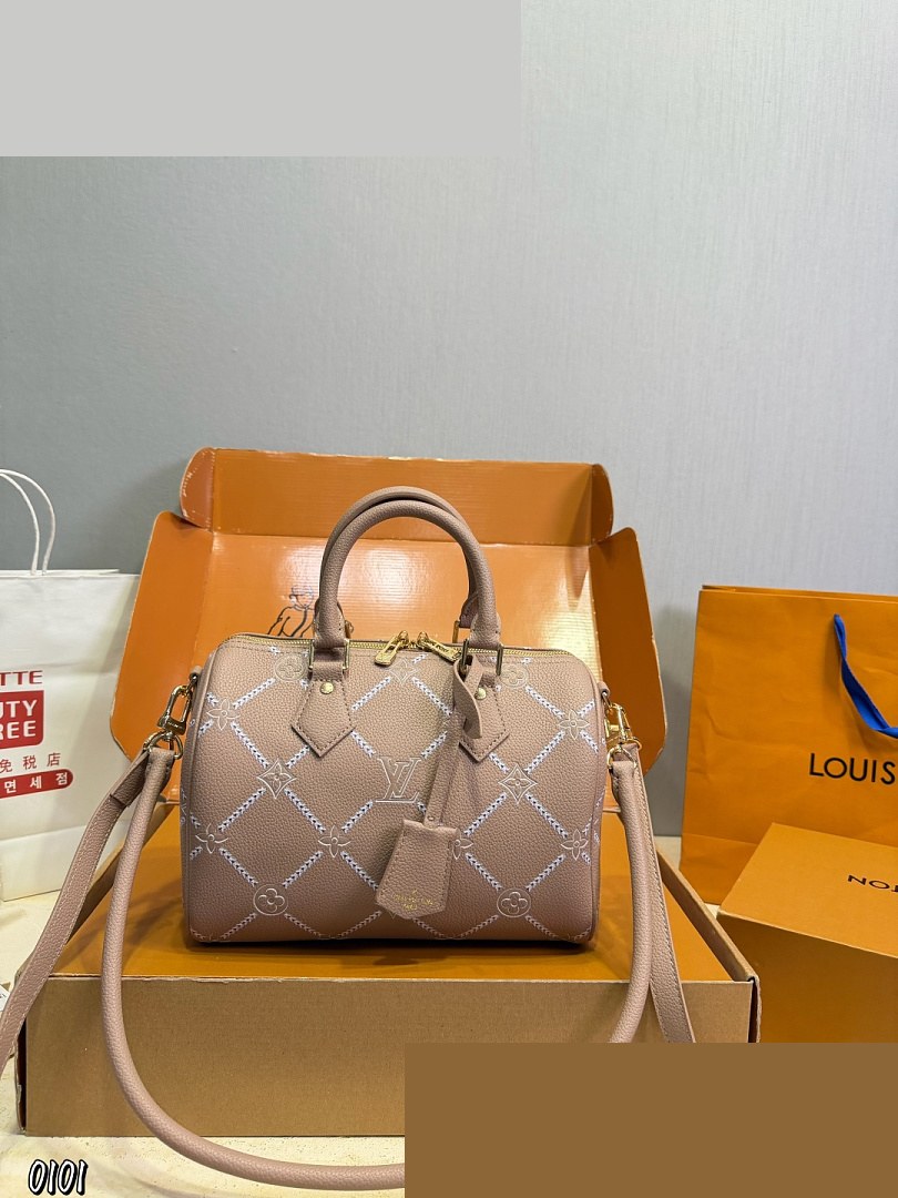 LV Bag 309
