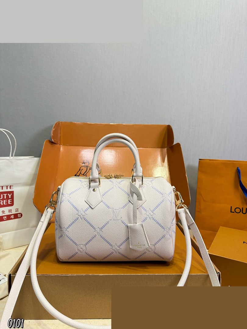 LV Bag 311