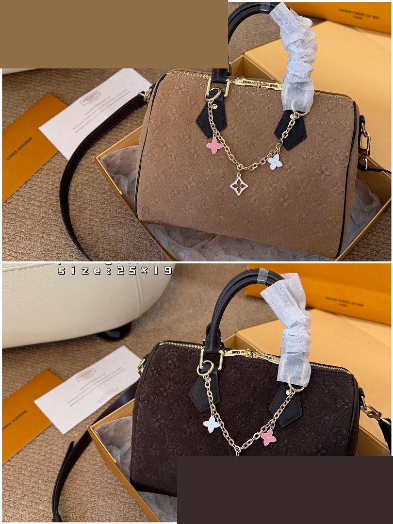 LV Bag 320