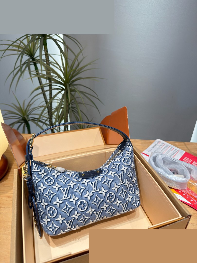 LV Bag 323