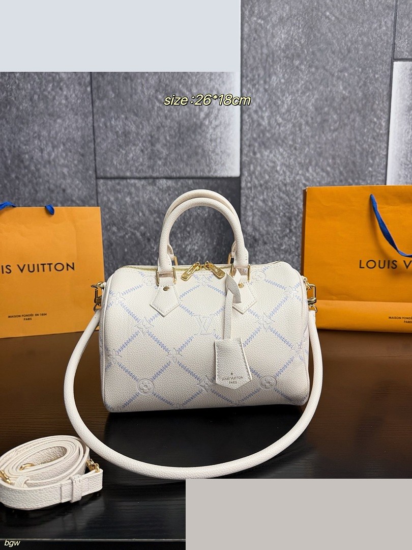 LV Bag 330