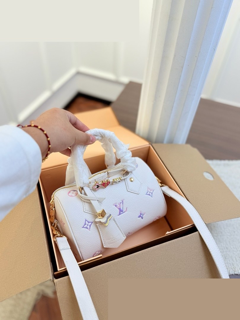 LV Bag 342