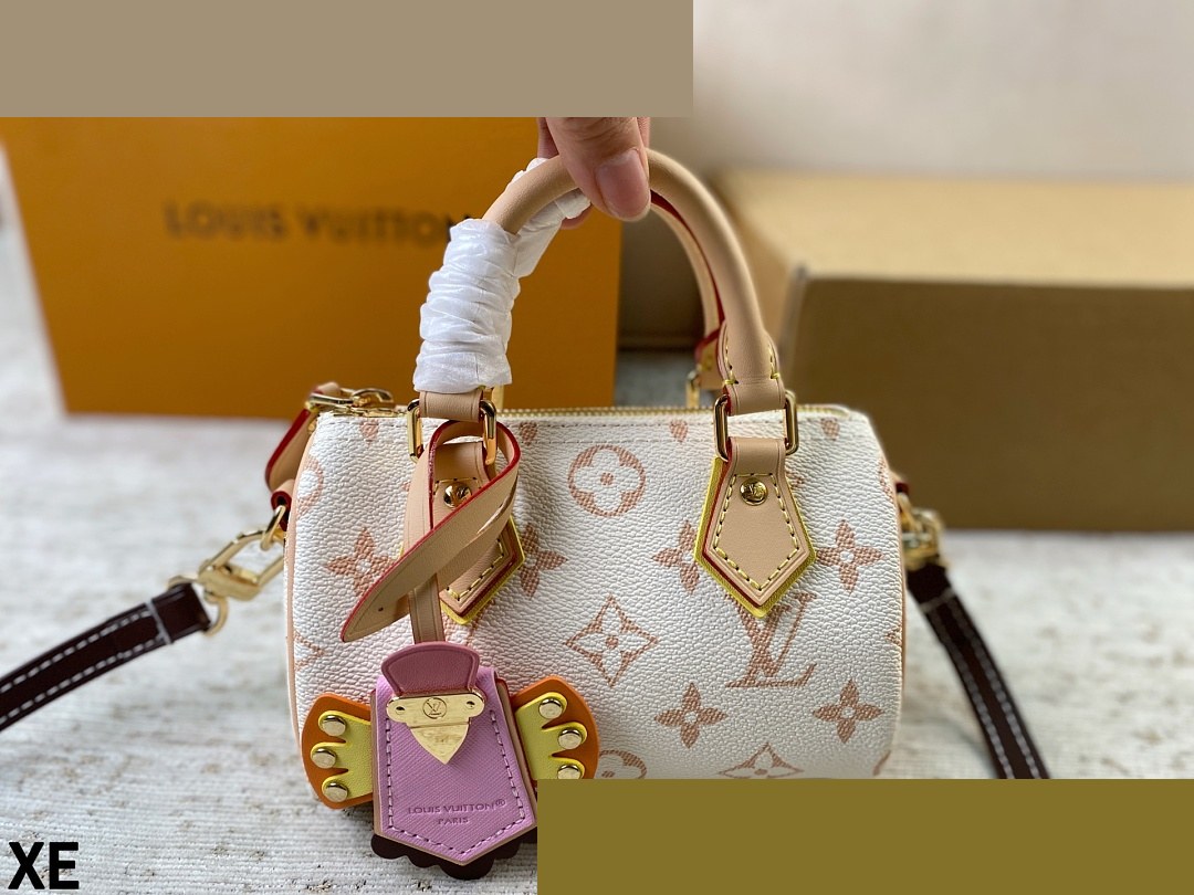 LV Bag 349