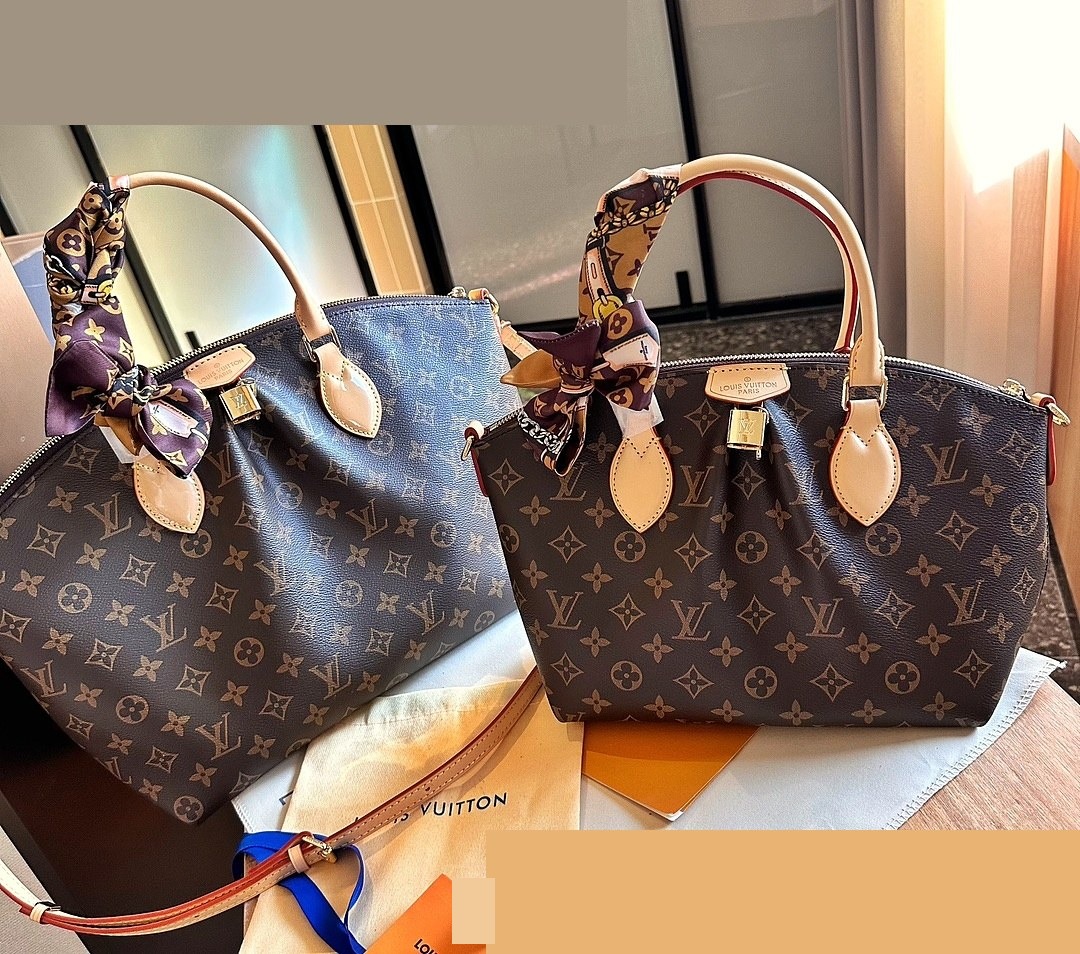 LV Bag 350
