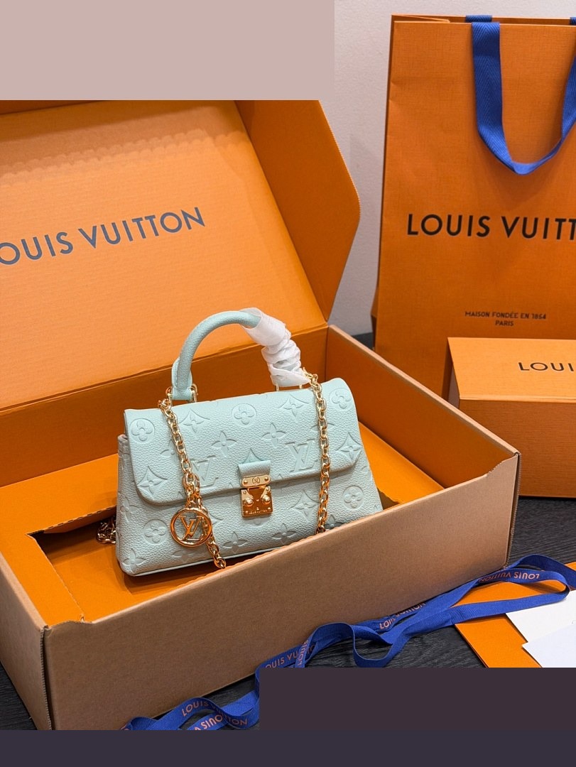 LV Bag 357
