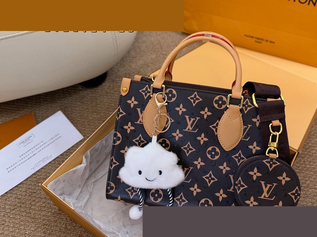 LV Bag 374