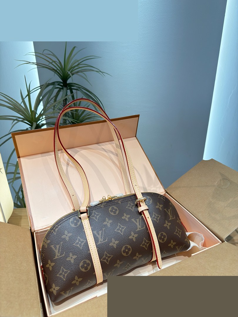 LV Bag 376