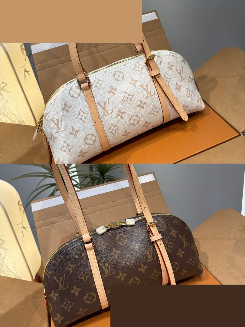 LV Bag 377