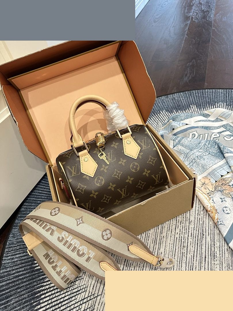 LV Bag 381
