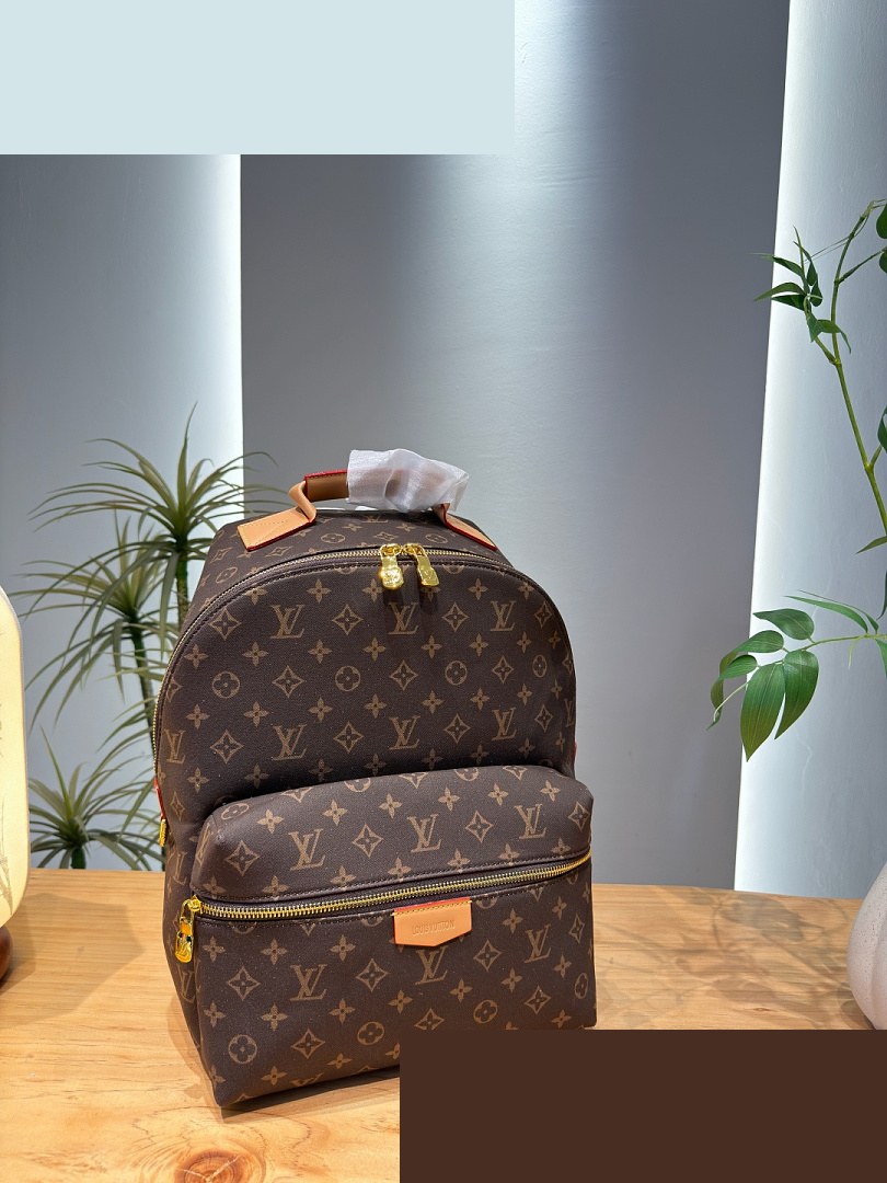 LV Bag 383