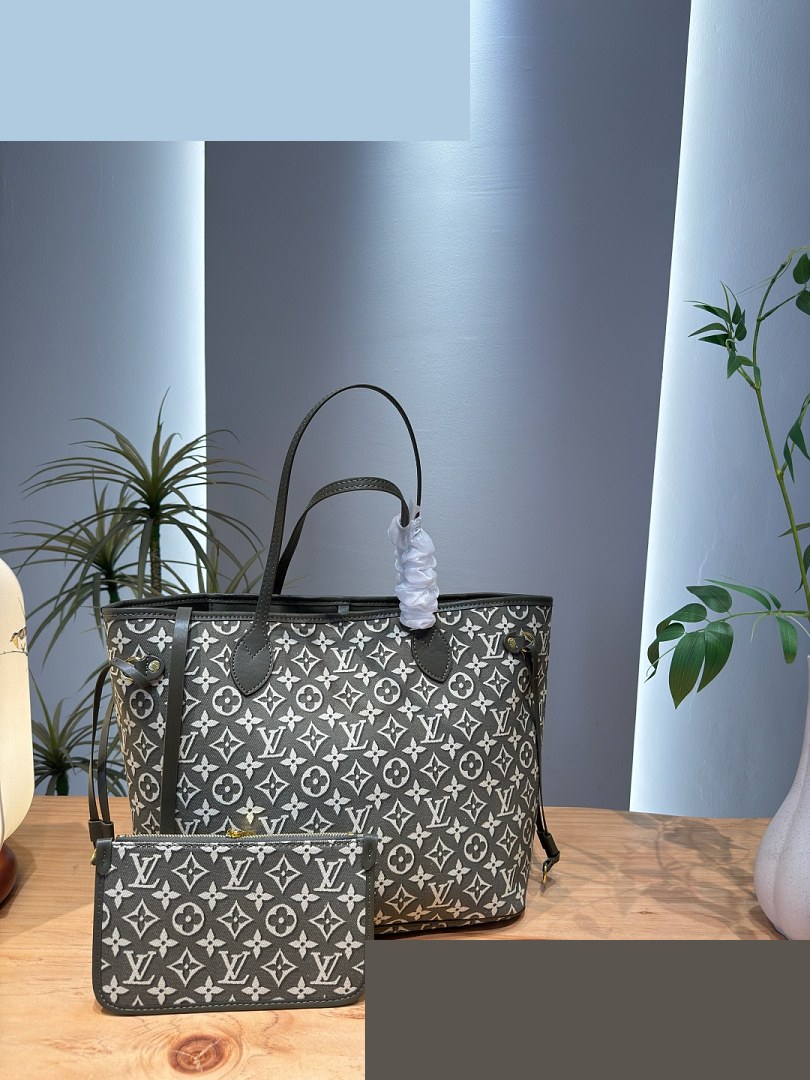 LV Bag 384