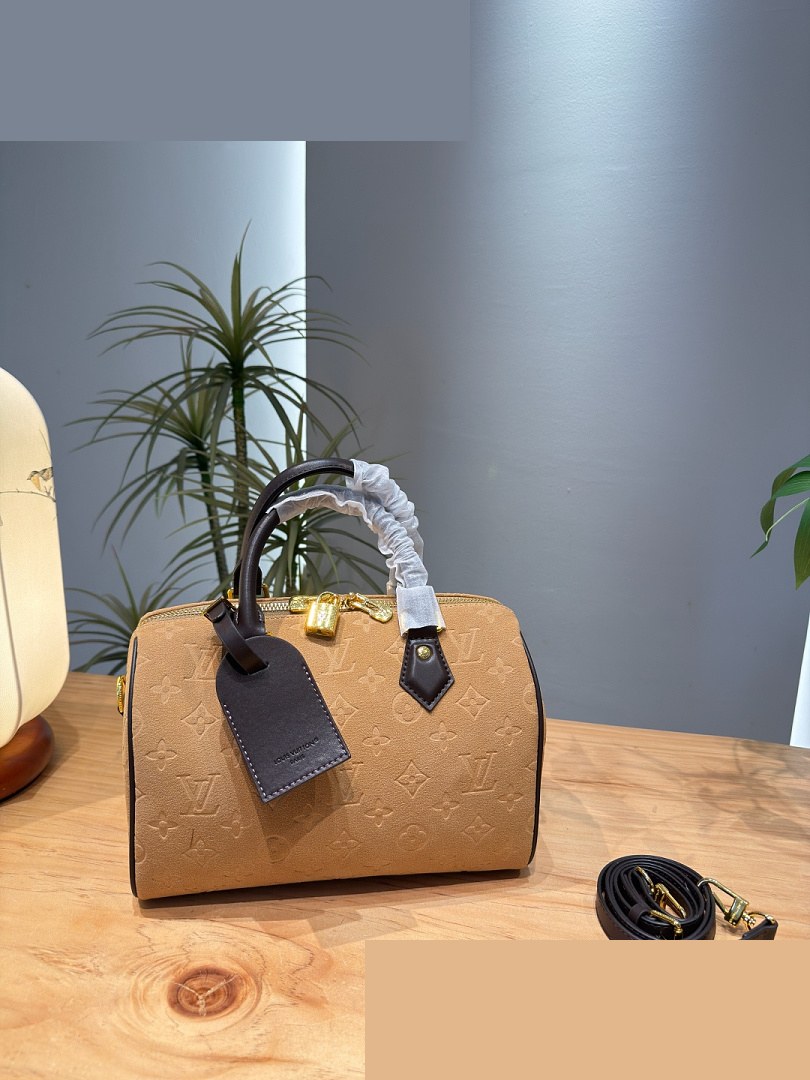 LV Bag 387