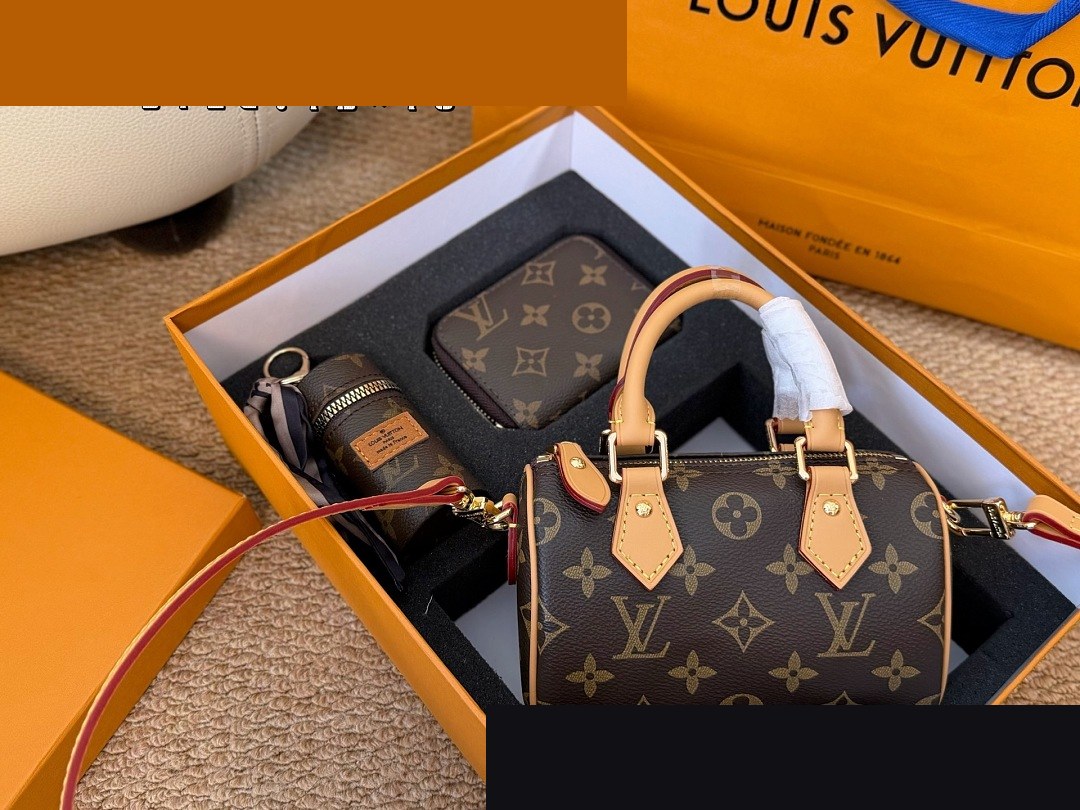 LV Bag 405