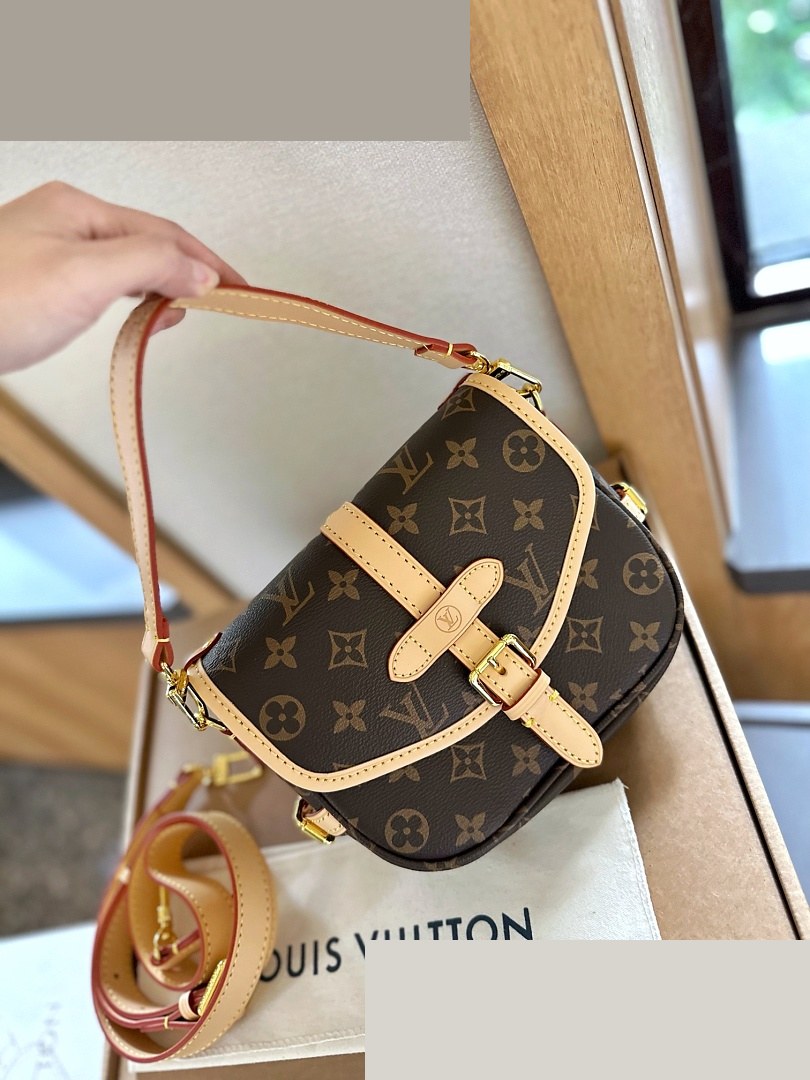LV Bag 419