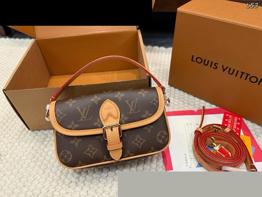 LV Bag 423