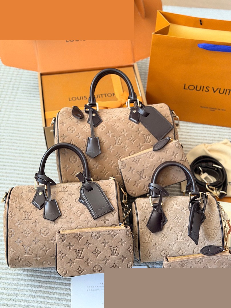 LV Bag 436