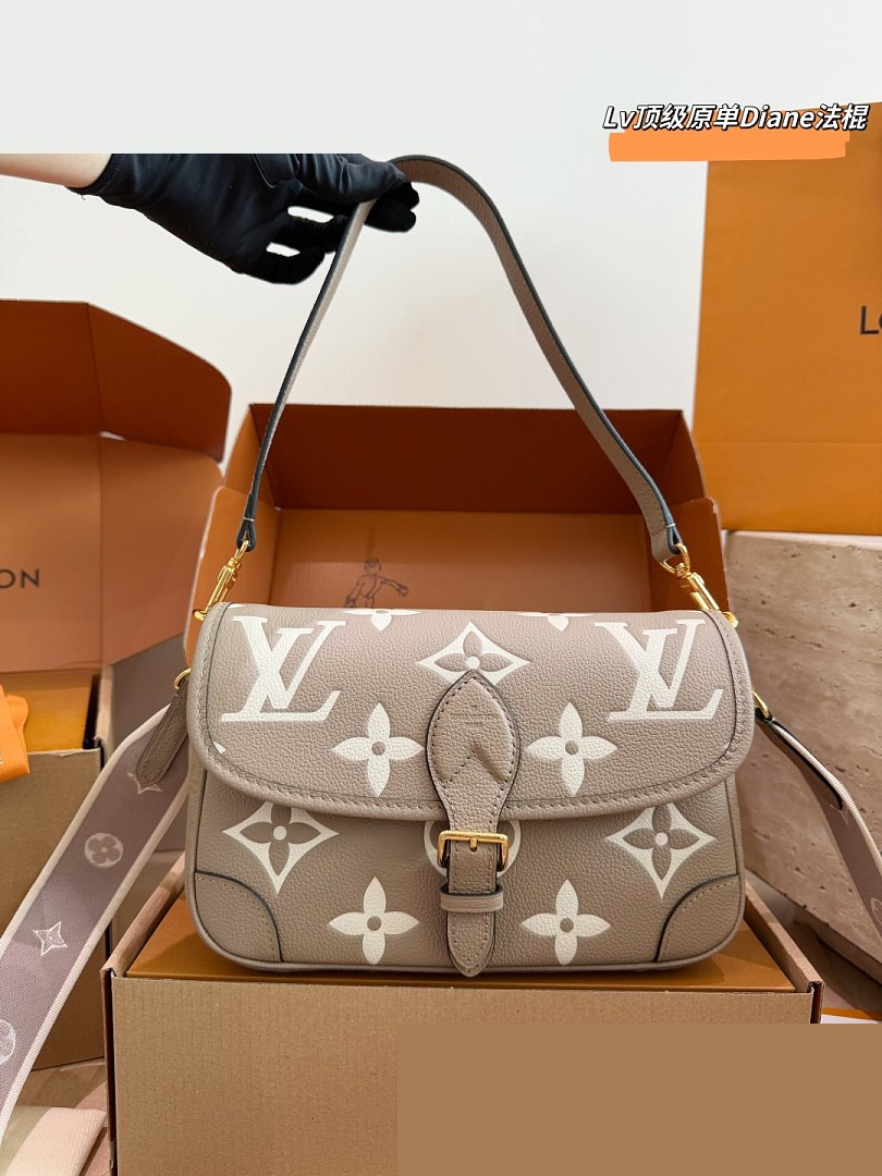 LV Bag 443