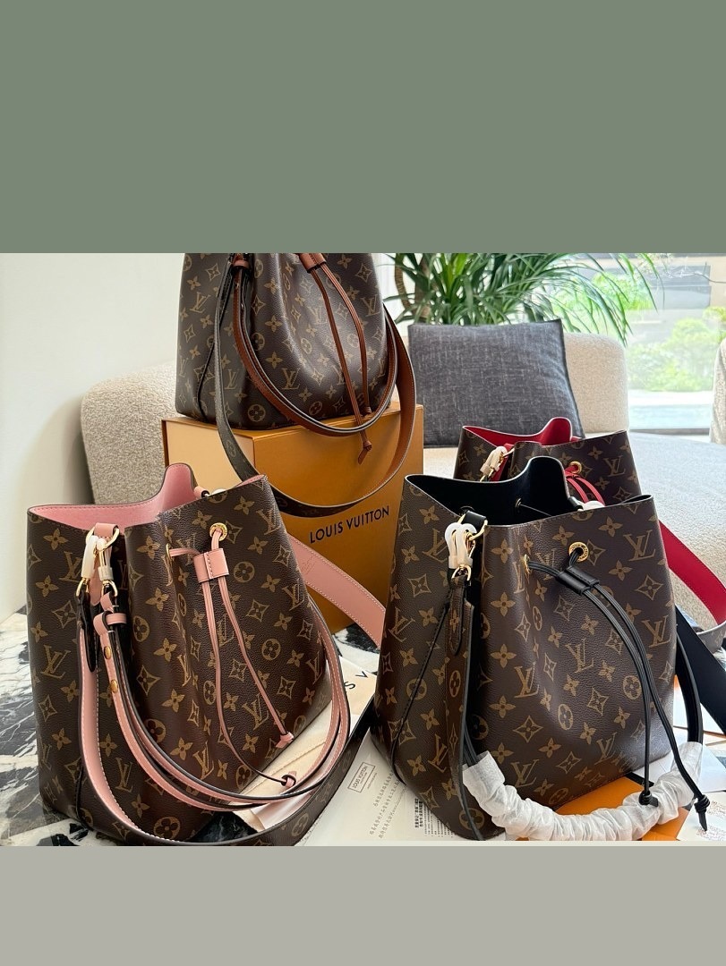 LV Bag 455