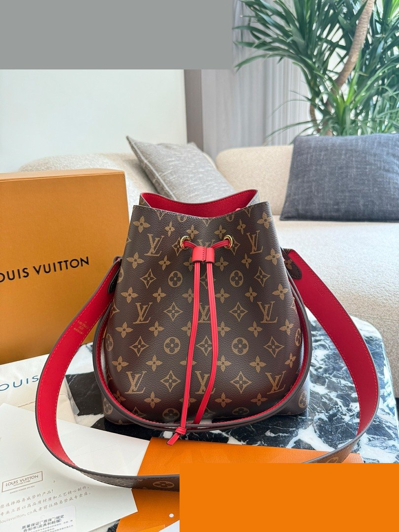 LV Bag 456