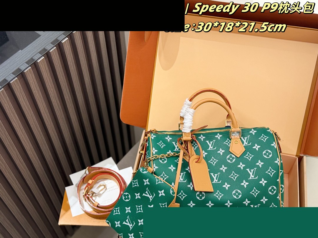 LV Bag 459