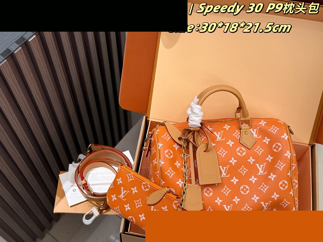 LV Bag 460