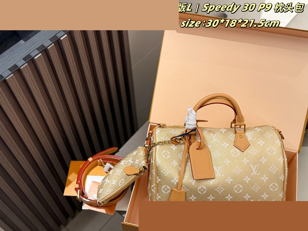 LV Bag 462