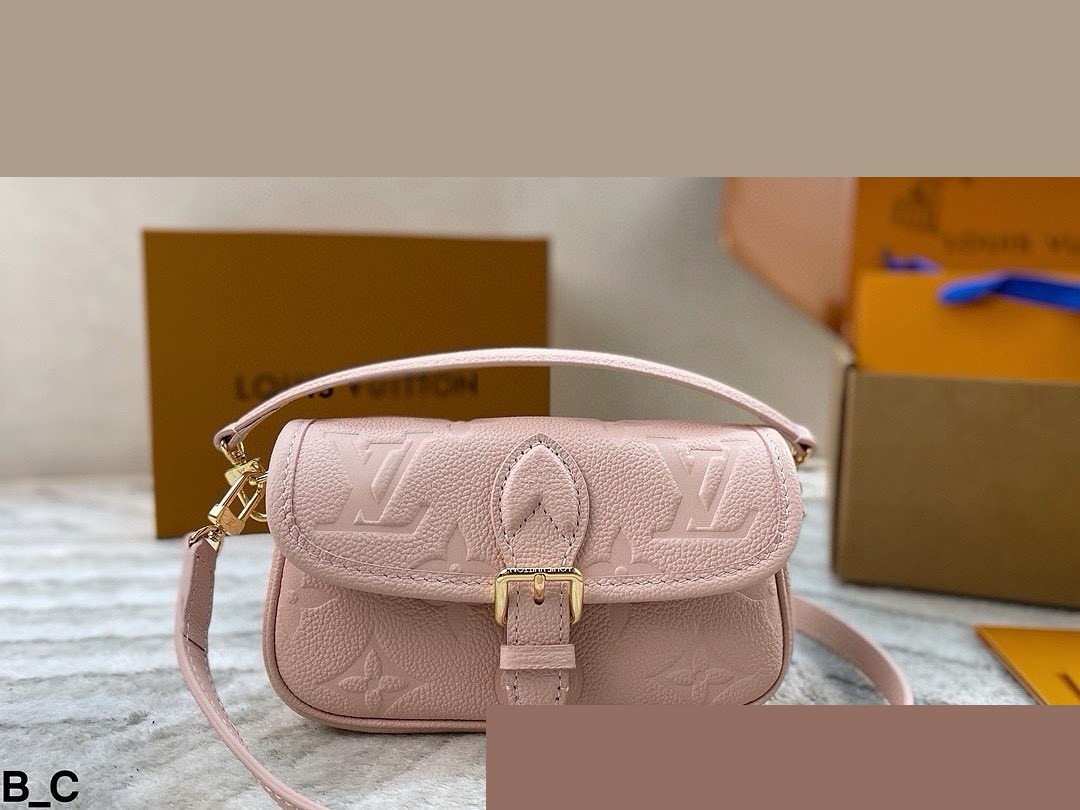 LV Bag 476