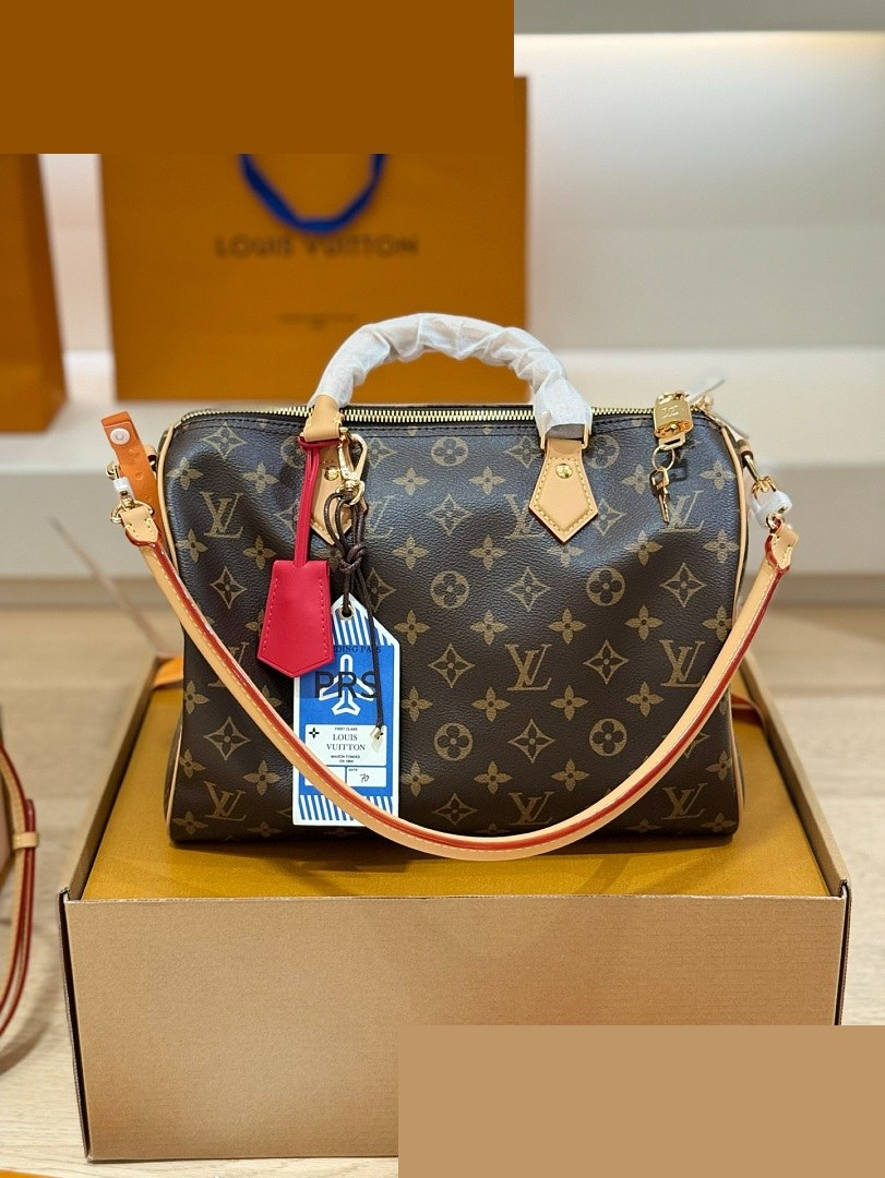 LV Bag 478