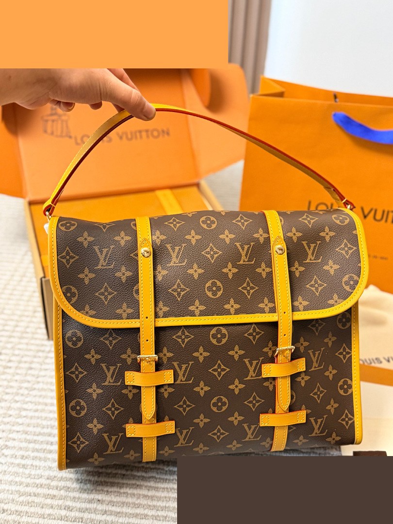 LV Bag 479