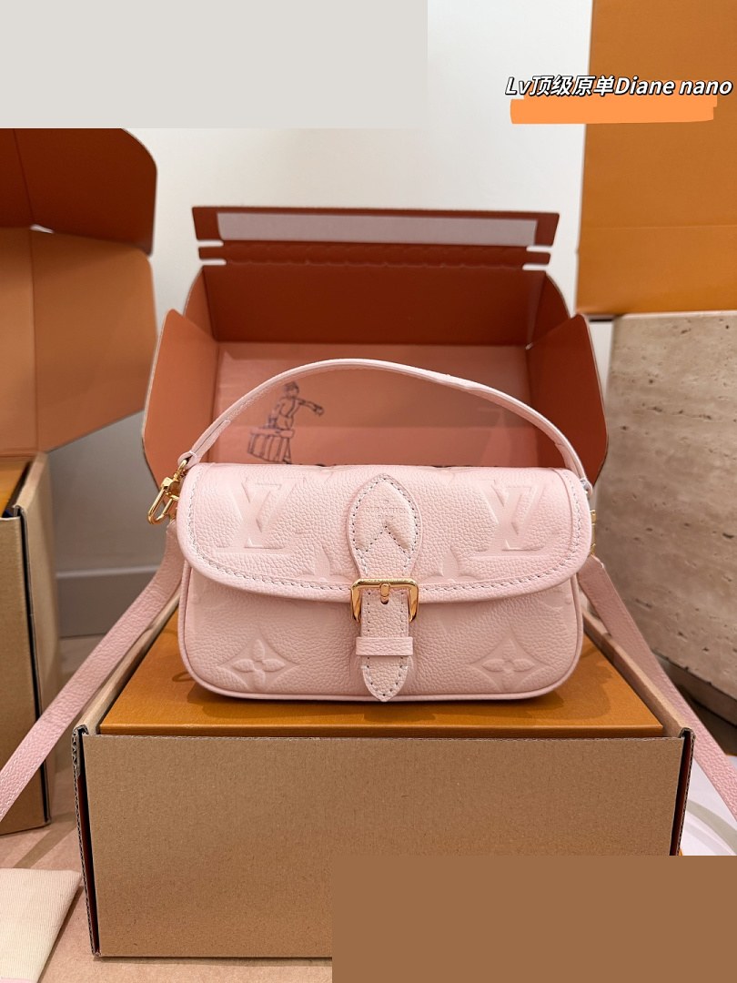 LV Bag 480