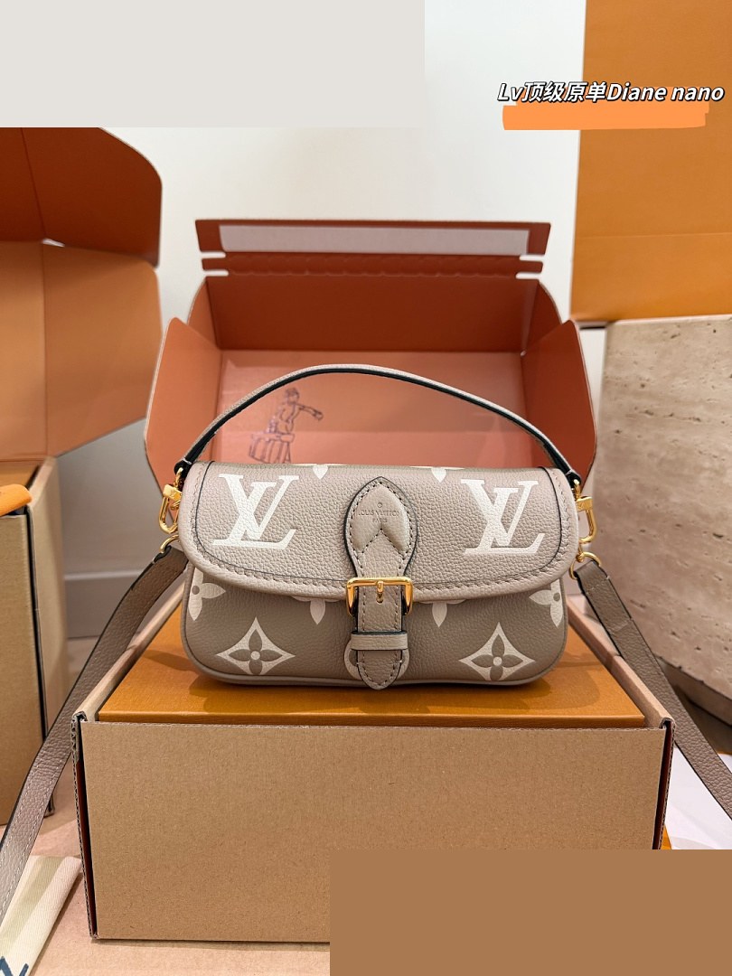 LV Bag 481