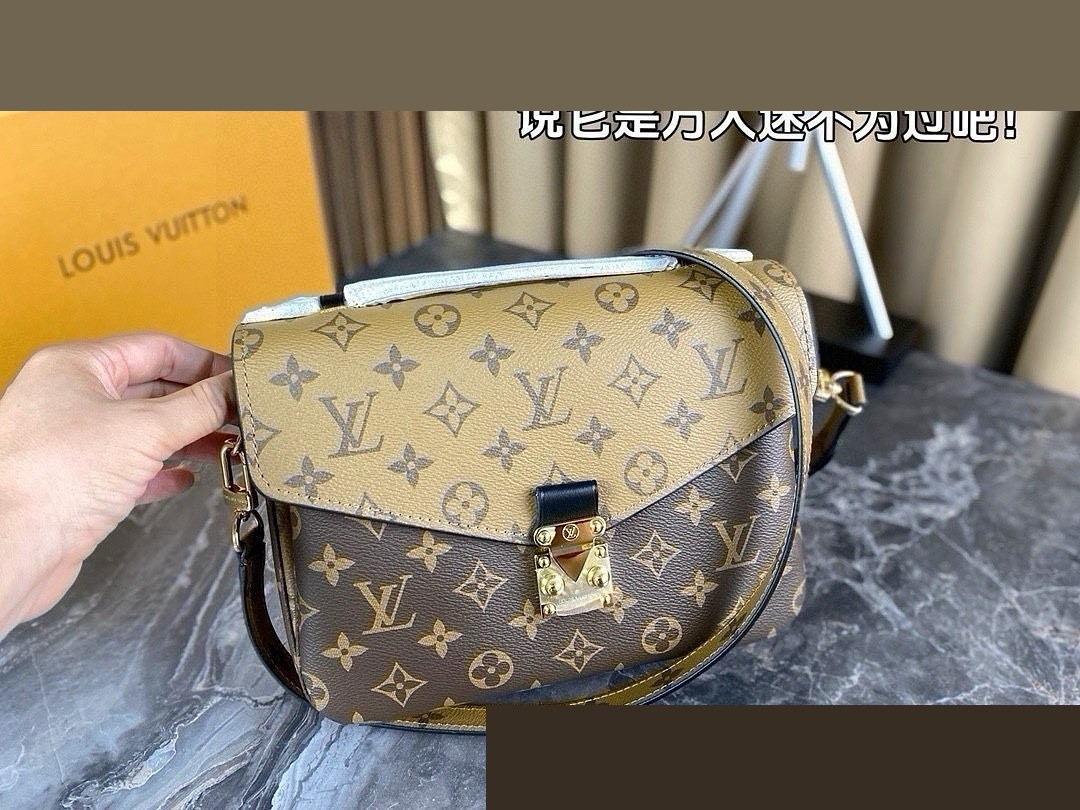 LV Bag 487