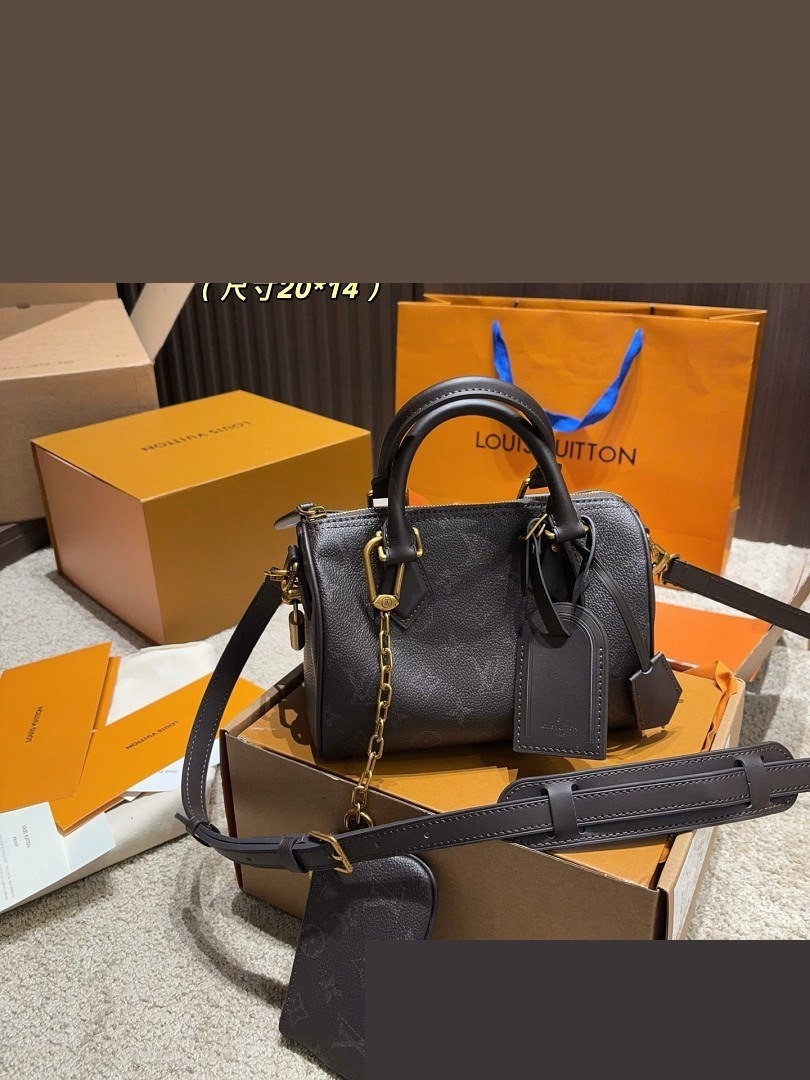 LV Bag 489