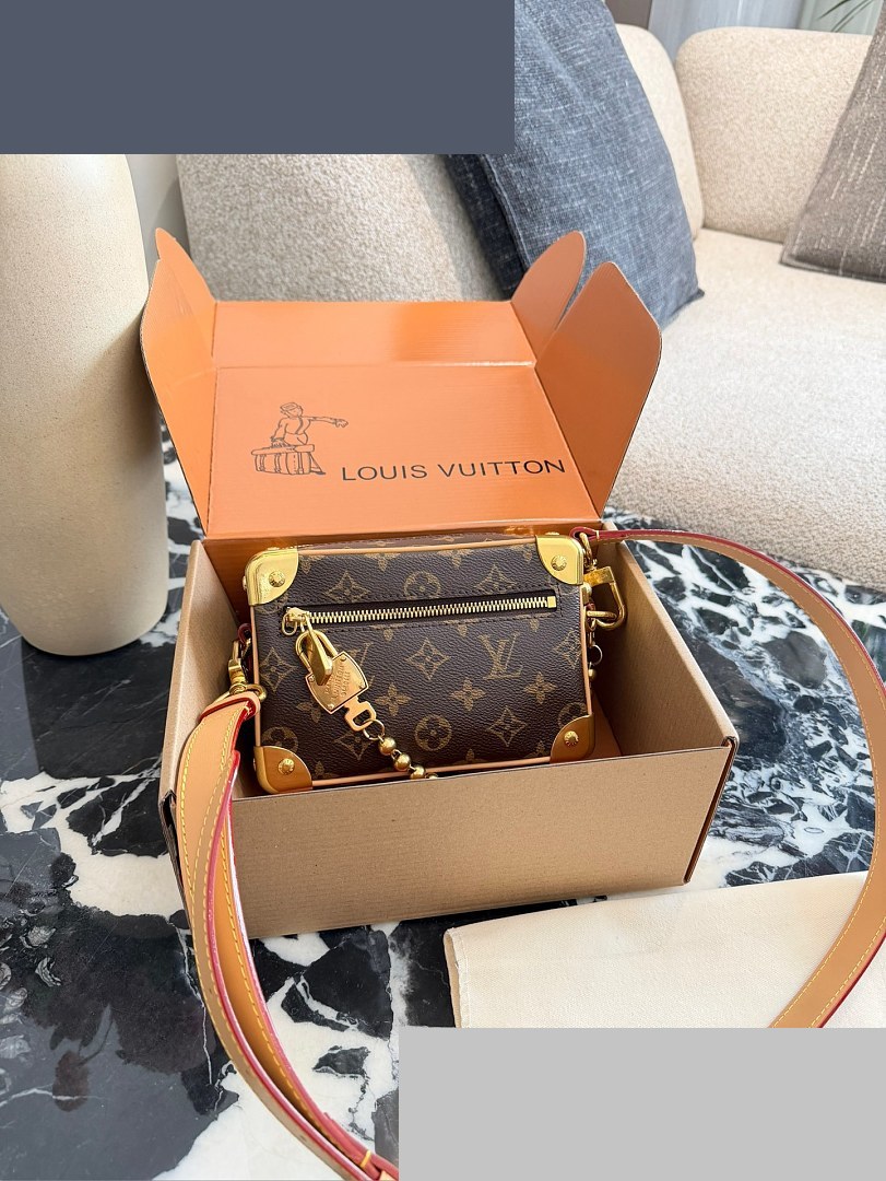 LV Bag 491