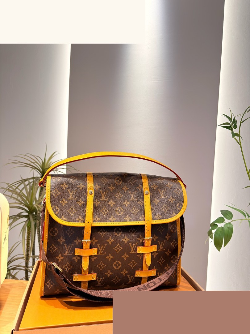 LV Bag 493