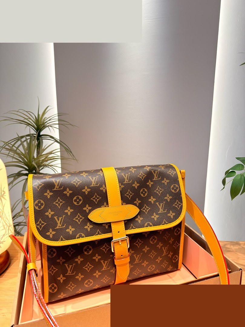 LV Bag 494