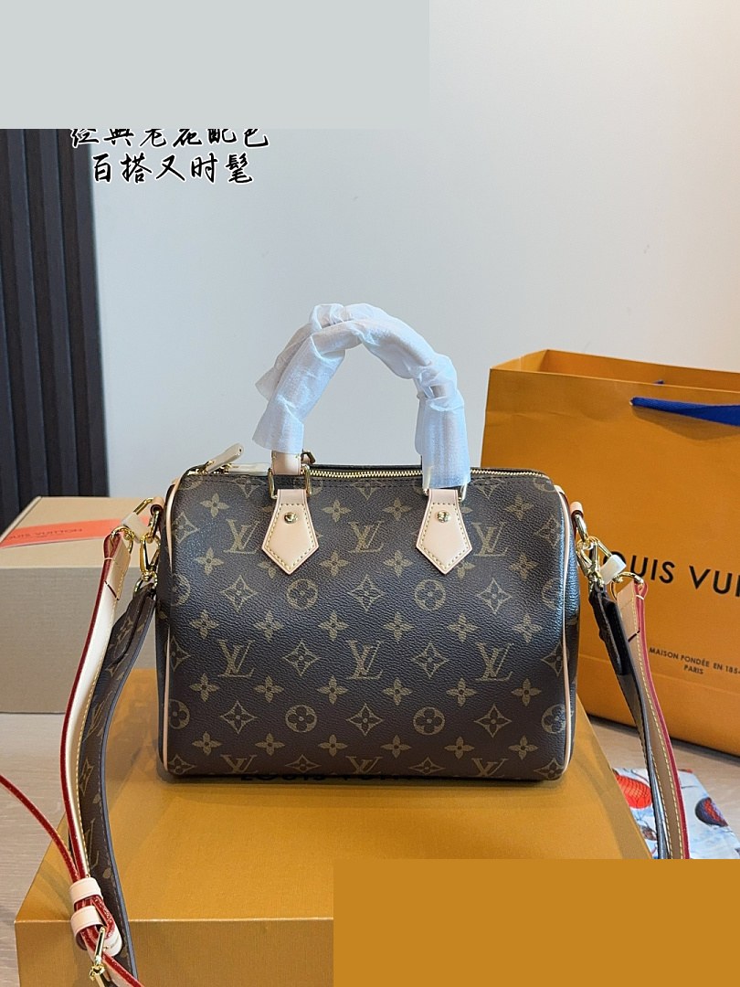 LV Bag 498