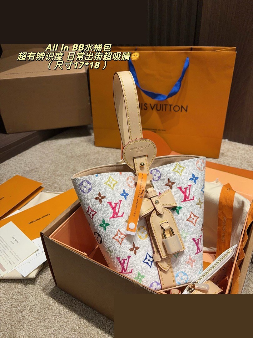 LV Bag 500