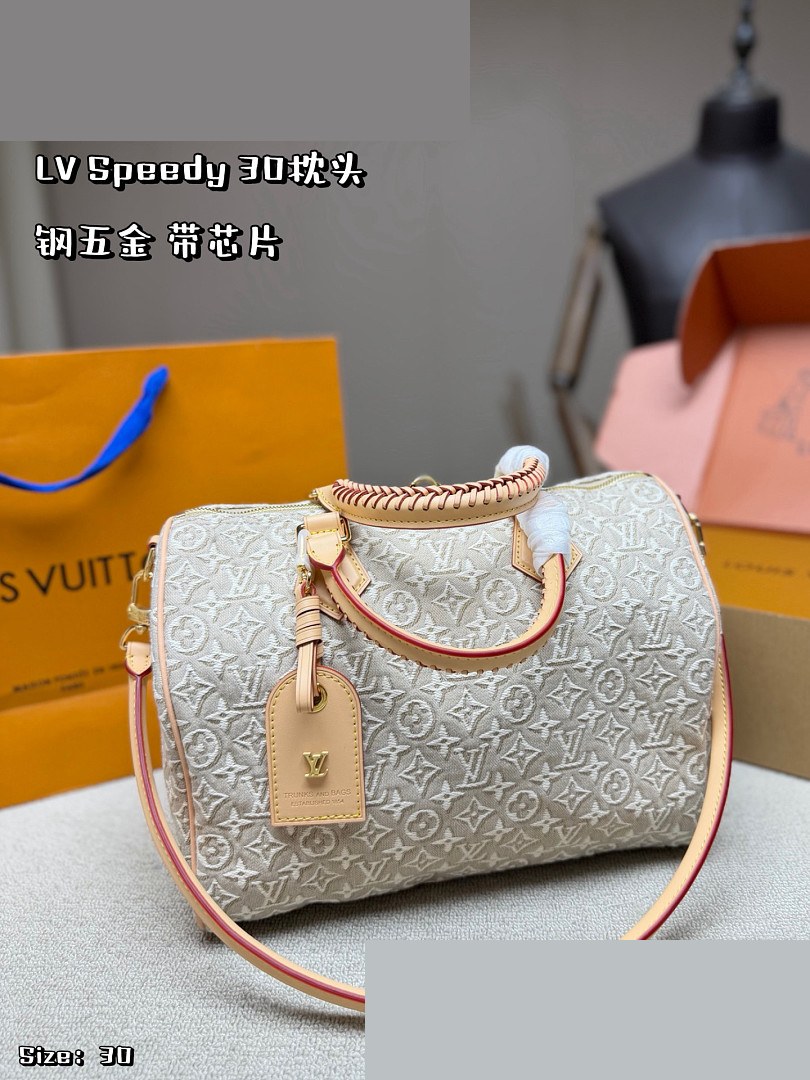 LV Bag 509