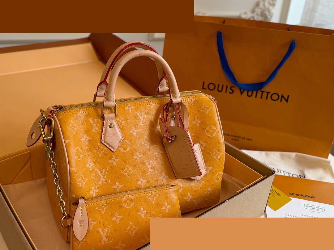 LV Bag 521