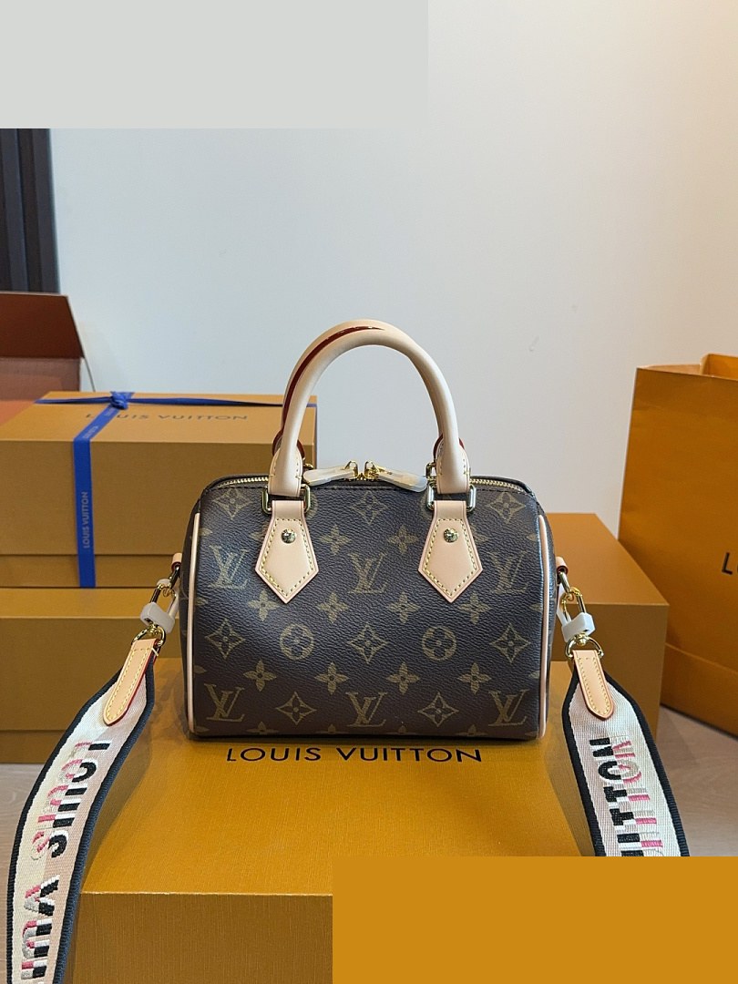 LV Bag 531